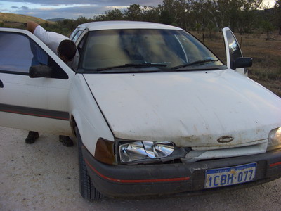 Collision avec un kangourou 01